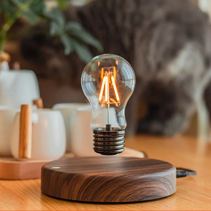 Magnetic floating LED lamp for home, office, desk decoration, gift, night light